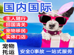 普宁机场托运国际宠物托运 【国